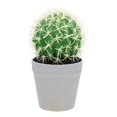 thumbnail image 1 of Artificial Cactus Plants Fake Succulent Bonsai Faux Potted Plant Desktop Decor Greenery Assortment Imitation Ornaments, 1 of 7