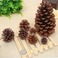 thumbnail image 2 of 12 piezas de piñas naturales a granel, adornos de piñas navideñas para manualidades, árbol de Navidad, decoración del hogar de Acción de Gracias de otoño 12 piezas de piñas naturales en B, 2 of 2