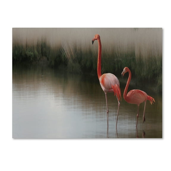 Trademark Fine Art 'Red Flamingo' Canvas Art by Anna Cseresnjes