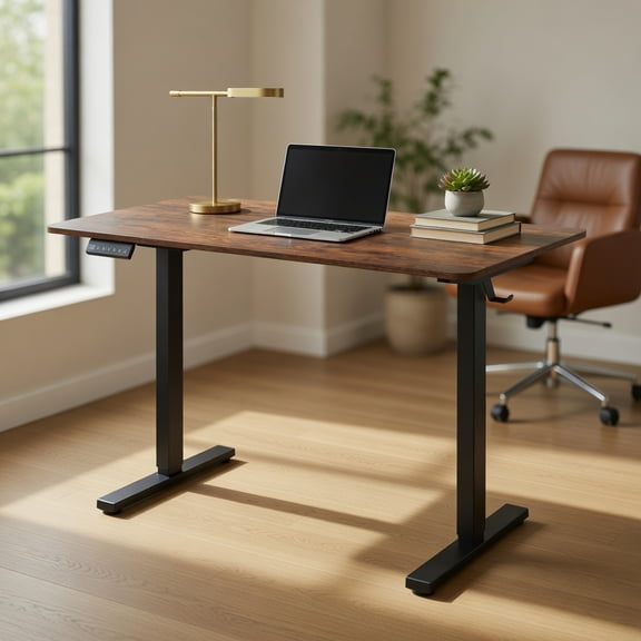 Resenkos 48x24 Inch Electric Standing Desk with 3 Memory Height Settings - Rustic Brown