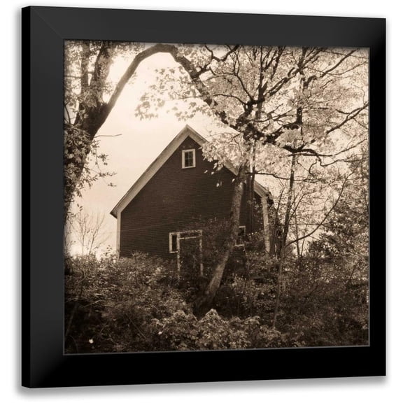 Triebert, Christine 12x12 Black Modern Framed Museum Art Print Titled - Bough and Barn