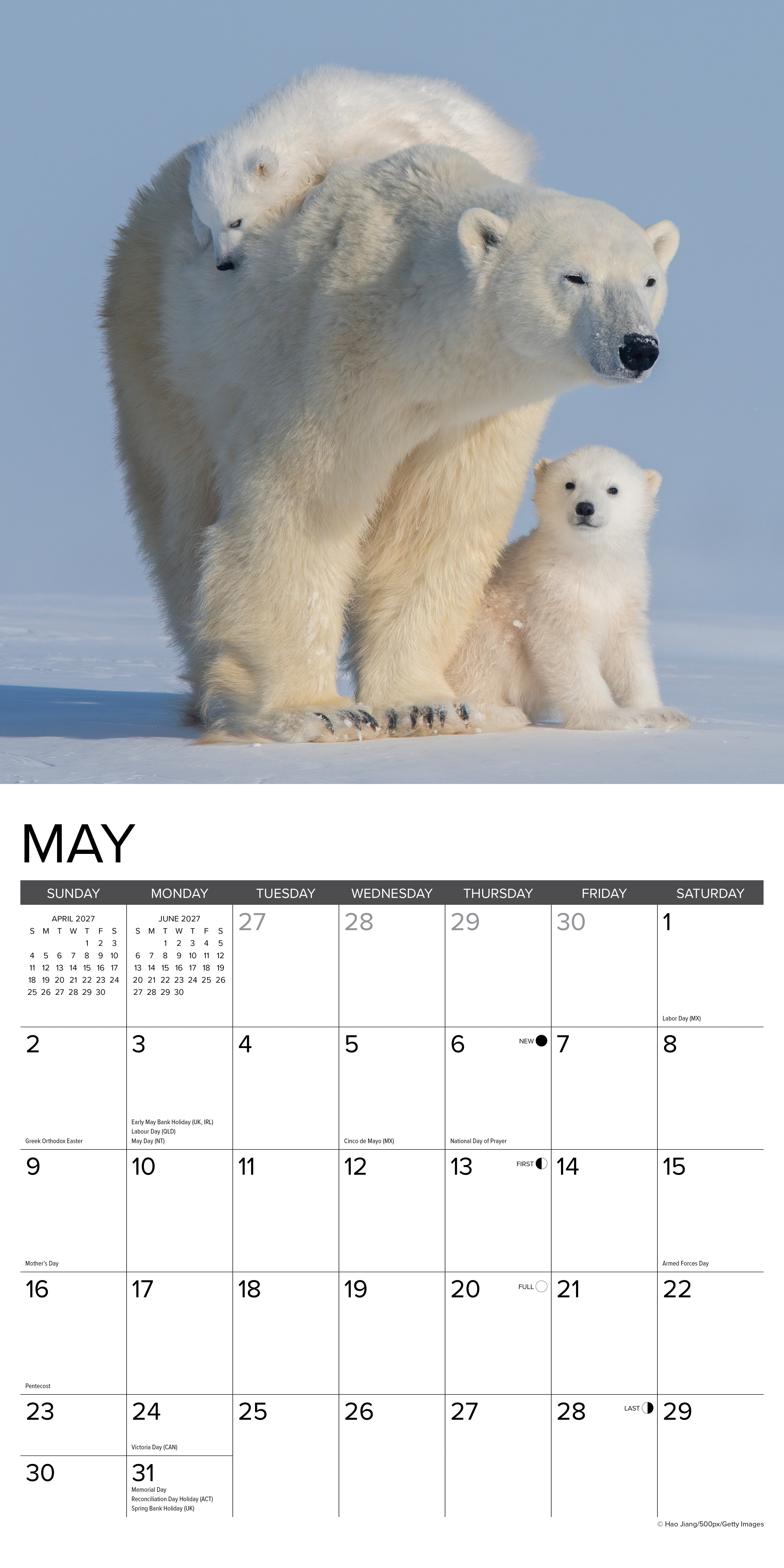 Willow Creek Press, Polar Bears 2027 Wall Calendar