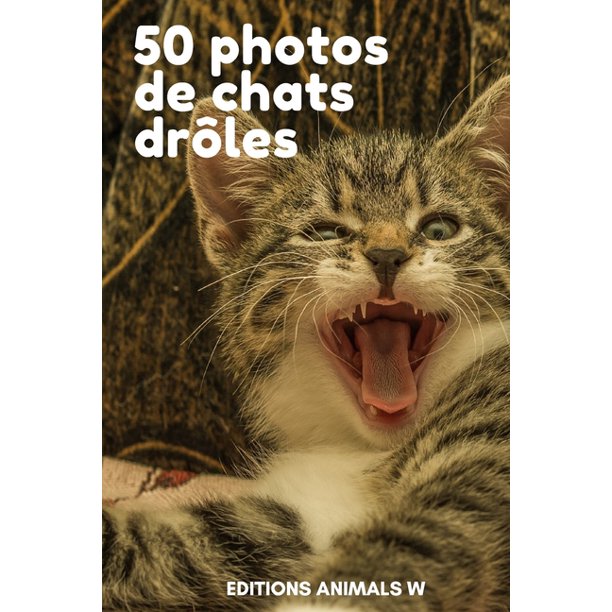50 Photos De Chats Droles Paperback Walmart Com