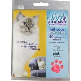 Kitty caps walmart online