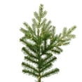 thumbnail image 3 of Vickerman 9' Plastic Sherwood Fir LED Lights Artificial Christmas Tree in Green, 3 of 4