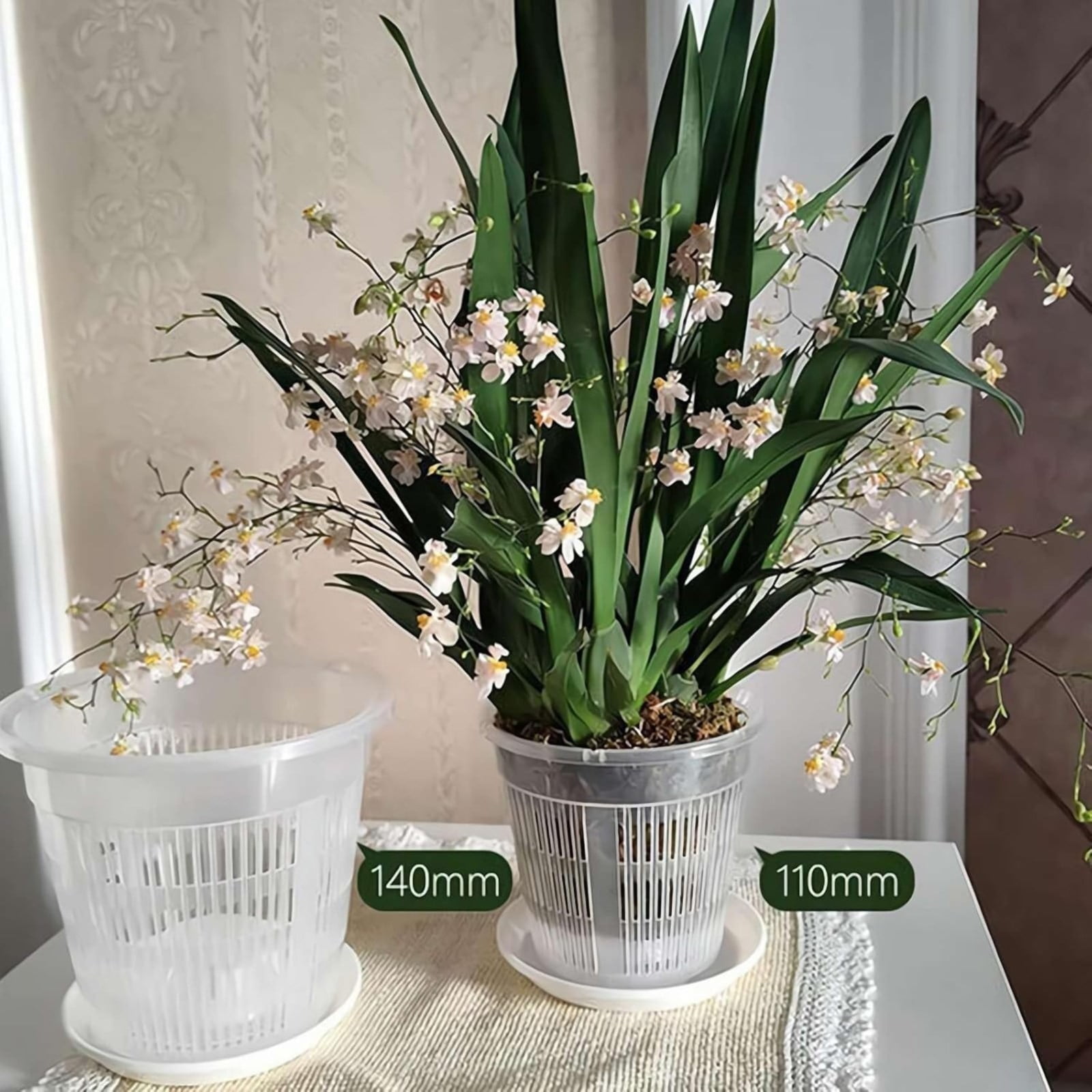 Naked Root Pot, 1 Pack 5.51x4.72 Inch Clear Orchid Pots with Holes for Repotting, Breathable Orchid Pot, Slotted Plastic Orchid Planters with Drainage for Plants and Flowers Root Health Indoor Outdoor