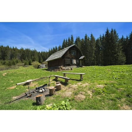 - Peel-n-Stick Poster of Summer Nature Glade Greens Landscape Forest Poster 24x16 Adhesive Sticker Poster Print