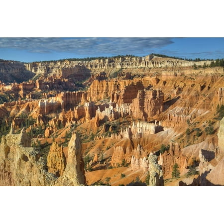 Hoodoos, on the Queens Garden Trail, Bryce Canyon National Park, Utah, United States of America Print Wall Art By Richard