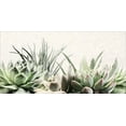 thumbnail image 2 of Deiter, Lori 18x11 White Modern Wood Framed Museum Art Print Titled - Soft Succulents II, 2 of 4