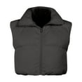 thumbnail image 4 of jsaierl Cropped Puffer Vest Women Full Zip Sleeveless Padded Jacket Solid Stand Collar Down Top Quilted Bubble Waistcoat, 4 of 6