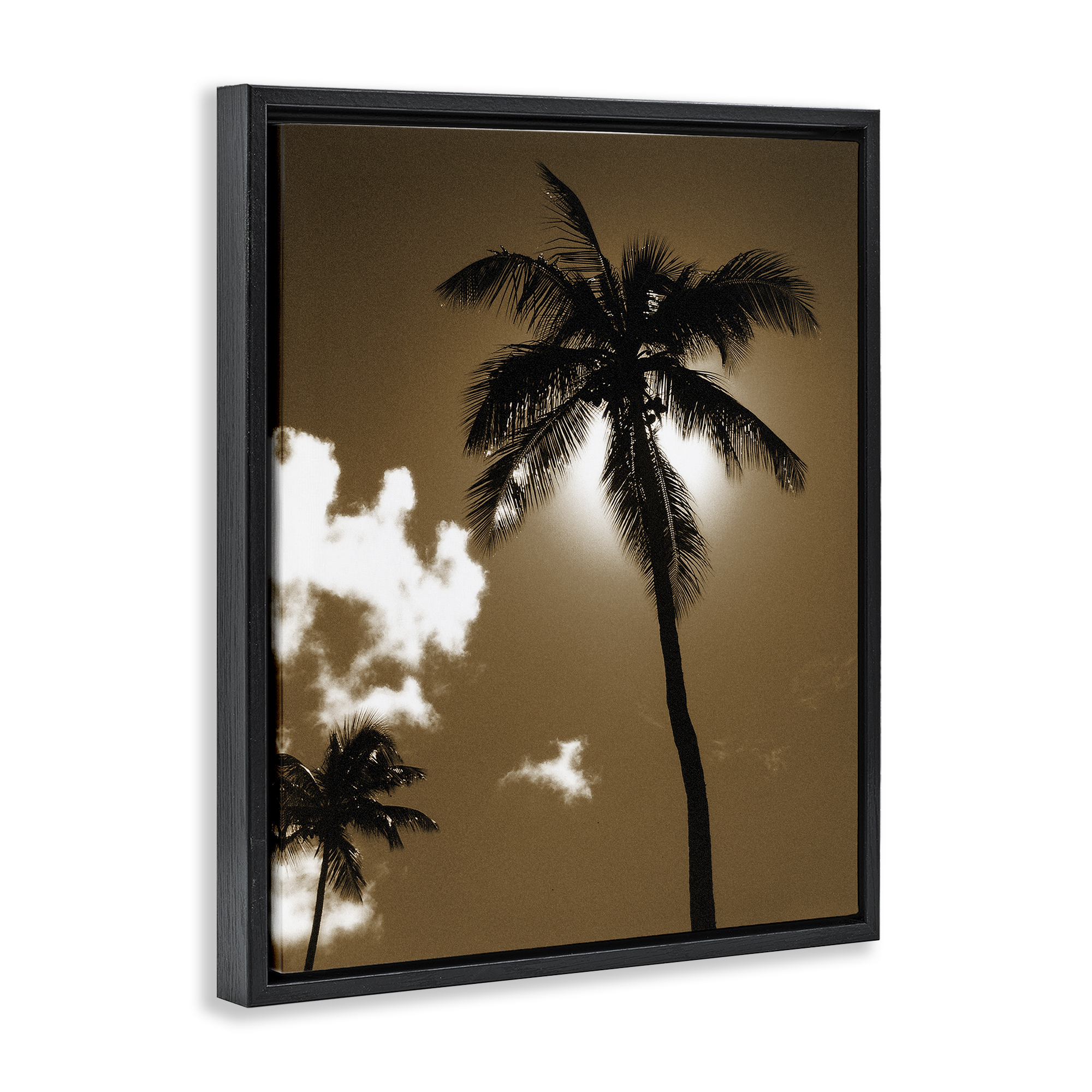 Stupell Industries Sunlight Through Palms Landscape Photography Black Floater Framed Canvas Art Print Wall Art, 17 x 21