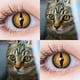 thumbnail image 1 of D'ORELLA-lentes de contacto de colores para Cosplay, lentillas multicolores para ojos de gato, lentillas verdes, 1 par, 1 of 3