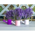 thumbnail image 3 of Frank, Assaf 24x19 Black Modern Framed Museum Art Print Titled - Watering cans with Lavender flowers, 3 of 5