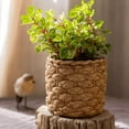thumbnail image 3 of Grass Woven Looking Cement Planter, 3 of 11