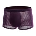thumbnail image 1 of Boxhero Bamboo Fiber Briefs, 1PCS Bamboo Fibre Shorts AU, 1 of 4