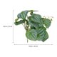 thumbnail image 2 of TABLETREANDS 2Ud Artificiales Con Ventosa Para Terrario Y Acuario Natural Para Reptiles, 2 of 6