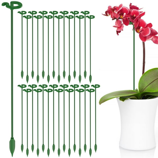 30 Pcs Piquet de Support pour Plantes 10,6 Pouces Anneau de Support pour Plantes en Plastique Réutilisable Robuste Résistant aux Intempéries Cage pour Plantes Vertes Fournitures de Jardinage pour Fleurs à Tige Simple Pivoine Tomate