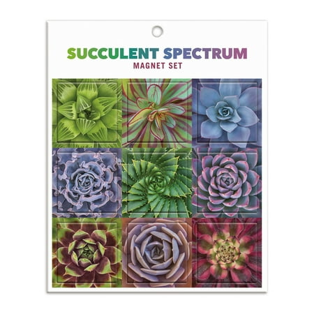 

Succulent Spectrum Magnet Set