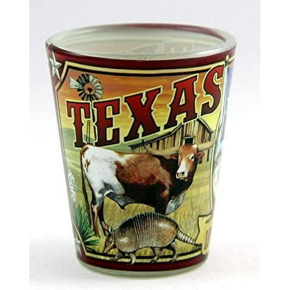 Texas State Mural Shot Glass
