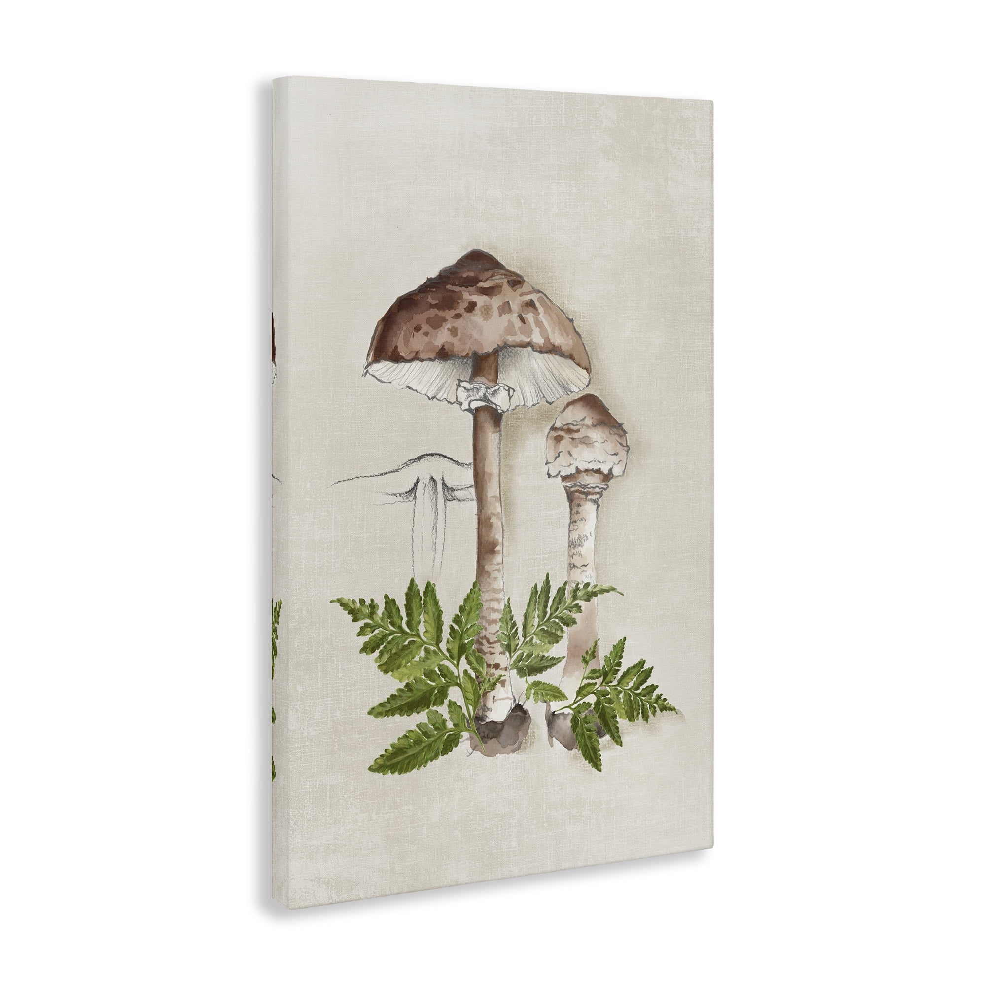 Stupell Industries Mushroom & Ferns Sketch Plants & Flowers Painting Wrapped Canvas Art Print Wall Art, 24 x 36