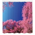 thumbnail image 3 of Ambesonne Nature Shower Curtain, Cherry Blossom Trees, 69"Wx70"L, Fuchsia Blue, 3 of 5