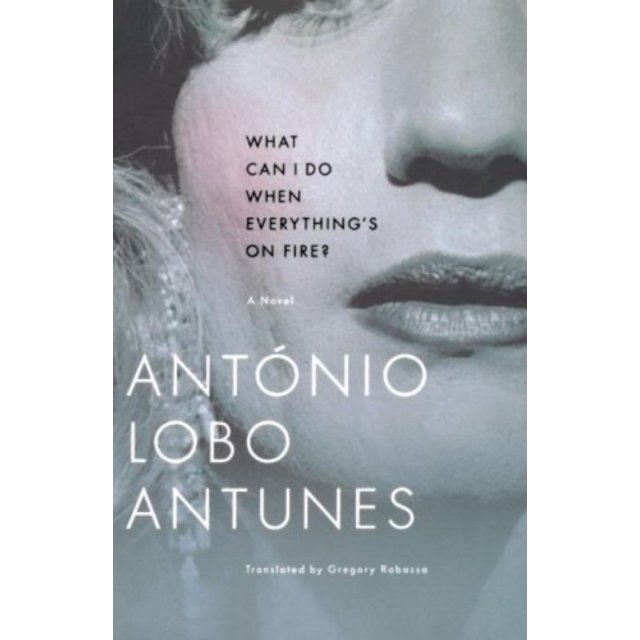 What Can I Do When Everything's On Fire?: A Novel