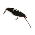 thumbnail image 3 of simhoa Simulation Woodpecker Model Animal Model Floral Arrangements Realistic Bird Figurine Artificial Bird Prop for Home Lawn Patio, 3 of 10