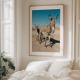 thumbnail image 5 of Wild Burros, Oatman 01 - Oatman Arizona Photography Desert Nature Animal Rural Wildlife Farmhouse Rustic Oak Framed Wall Art Print 11 x 14 inches, 5 of 12
