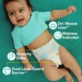 thumbnail image 4 of Pampers Baby Dry Baby Diapers Size 3, 104 Count (Select for More Options), 4 of 12