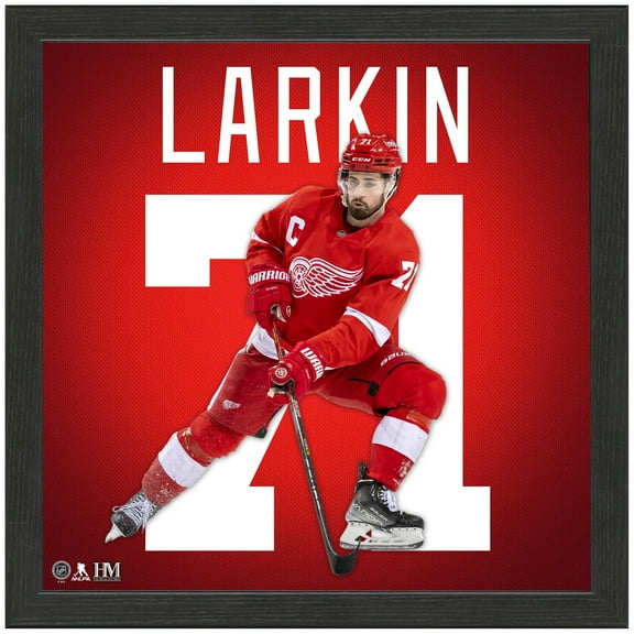 Highland Mint Dylan Larkin Detroit Red Wings 13'' x 13'' Impact Jersey Framed Photo