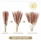 thumbnail image 5 of Juego de 90 decoraciones de flores secas, 5 tipos de ramo de flores secas naturales, decoración de pampas blancas, flores, decoración bohemia para el hogar, bodas, vacaciones, fiestas, 5 of 5