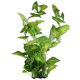 thumbnail image 1 of Acuario Faux Hojas Planta Decoración, 21,5 pulgadas, Verde, 1 of 2