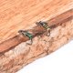 thumbnail image 5 of High Hardness Flies Fishing Bait, Simulation Design Fly Fishing Lure, For Stream Pool ANGGREK HF2717, 5 of 8
