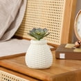 thumbnail image 4 of XGFHYJEH Vase, Flower Vase, Vase Decor, Plastic Vase, Spring Vase, Short Vase, Bouquet Vase, Flower Vases Clearance, Flower Vase Decor, Vase Decorations Clearances, Plastic Vase for Flowers, 4 of 6