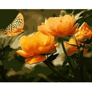 Winnie's Picks Adult Paint by Numbers Kit, 16" x 20", Peach Butterfly in The Summer - Beginner