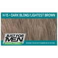 thumbnail image 6 of JUST FOR MEN Hair Color H-15 Dark Blond 1 Each (Pack of 3), 6 of 8