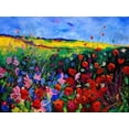 thumbnail image 2 of Art.com field flowers (poppies, chicorees daisies and many more) Art Print by Pol Ledent, 32" x 24", 2 of 4