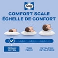 thumbnail image 5 of Sealy Medium Support Bed Pillow, Jumbo- Cotton Cover, Back Sleeper, 2 Count, 5 of 5