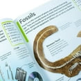 thumbnail image 6 of DK Children's Encyclopedia: The Book that Explains Everything, 6 of 6