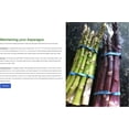 thumbnail image 4 of Hand Picked Nursery Mary Washington Asparagus Bare Root Plants -2yr-Crowns - Count - 10 - Free Plant Boost Included -, 4 of 8