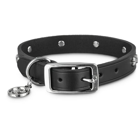 UPC: 0858413007518 | Playology Dual Layer Ring Dog Toy Chicken Scent  Medium