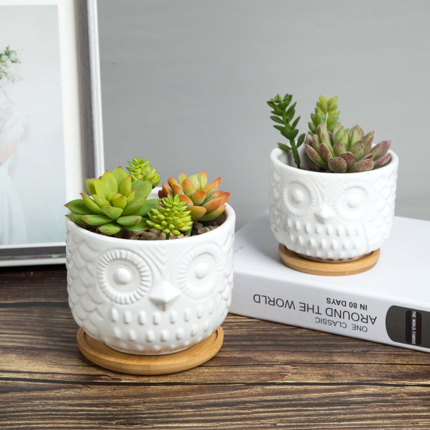K-Cliffs Owl Succulent Planter, Animal  Pots with Drainage Hole and Bamboo Saucer, Set of 2, Color; White