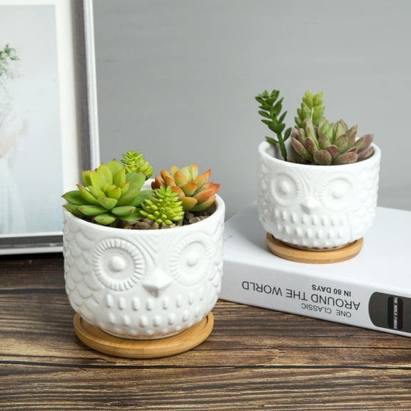 K-Cliffs Owl Succulent Planter, White  Planter Pots with Drainage Hole and Bamboo Saucer, Set of 2