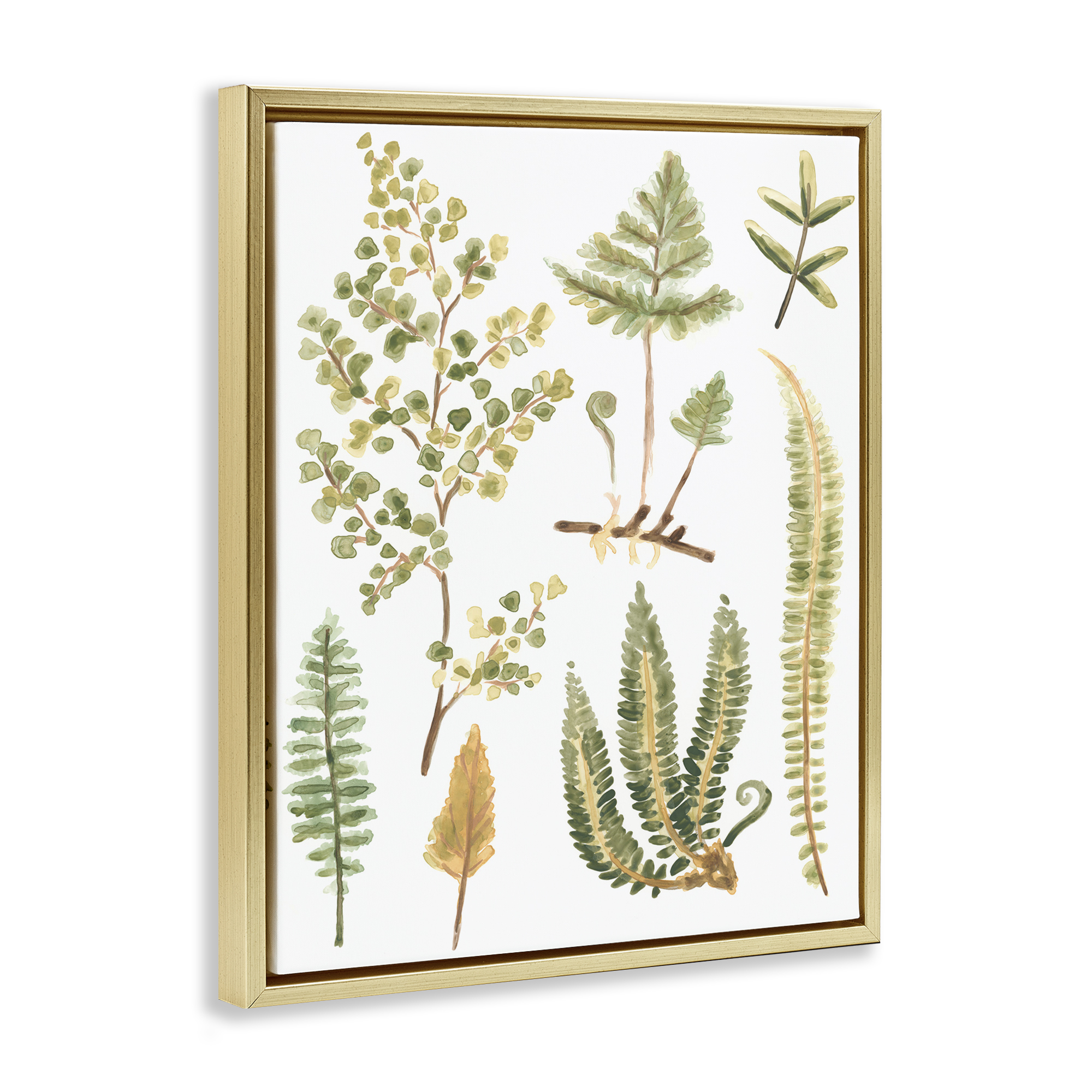 Stupell Industries Wild Forest Ferns Botanical & Floral Painting Gold Floater Framed Art Print Wall Art, 17 x 21