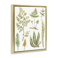 thumbnail image 4 of Stupell Industries Wild Forest Ferns Botanical & Floral Painting Gold Floater Framed Art Print Wall Art, 17 x 21, 4 of 10