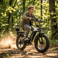 thumbnail image 5 of Cyneira 20" x 4.0 Fat Tire Electric Bike for Adults, 750W Motor, 48V 20AH Removable Battery, 80 Miles, 7-Speed, Step-Thru Ebike, UL2849 Certified, 5 of 10
