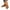 Brown, variant on AKAFMK Women's Sandals and SlidesFashion Women Solid Casual Beach Summer Slippers Plus Size Flats Shoes