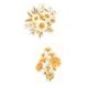 thumbnail image 3 of 20Pcs Daisy Sticker Decorative Self Adhesive Beautiful Warm Yellow Daisy Flower Stickers for Water Bottle Scrapbook Laptop, 3 of 3