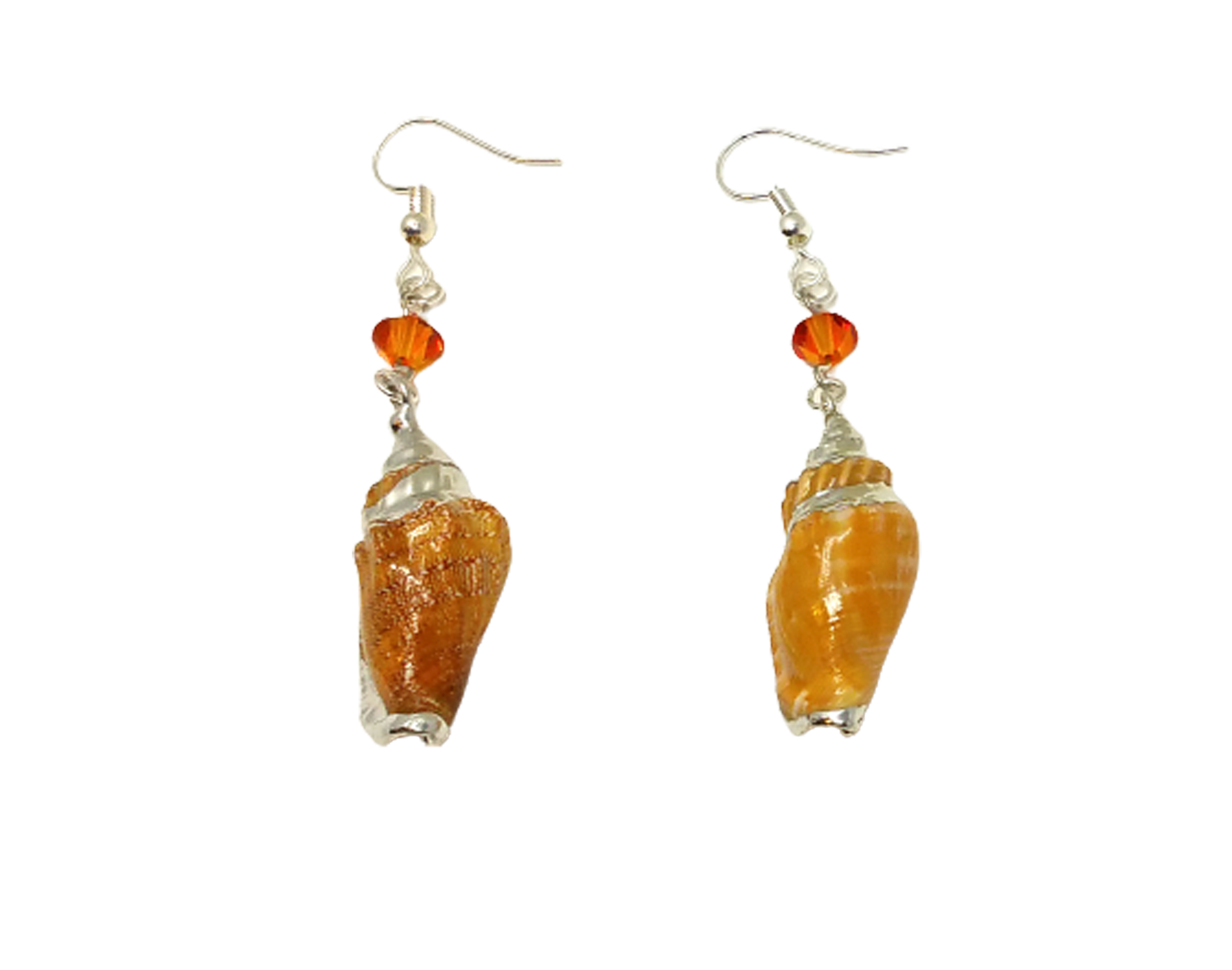 Conch Shell Earrings