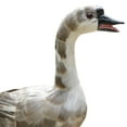 thumbnail image 3 of VONKY Miniature Feathered Goose Free Standing for Collectible Gift Decoration Gray, 3 of 6
